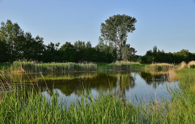 02.06.2017 © AW Noch mal kurz ein Stopp an der Bank am Teich neben der Meskenwiese