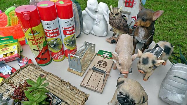Pfingstsonntag bei den Pfingstburschen in Vitzenburg am 4.6.2017 !