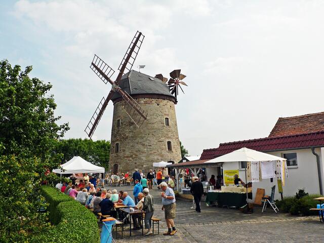 Die Holländer Mühle - Lodersleben zum Mühlentag 2017 !