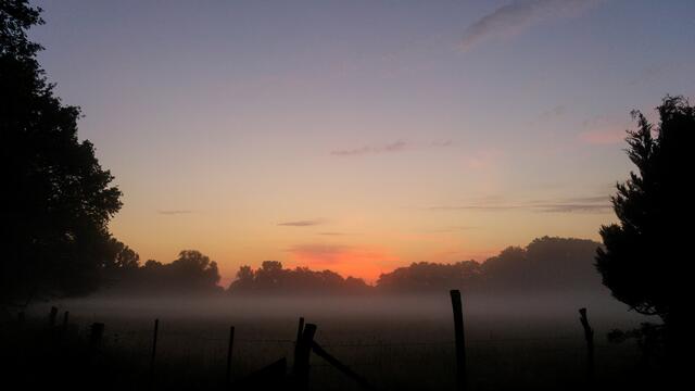 In dieser wunderbaren Morgenstimmung geht die Phantasie auf die Reise.