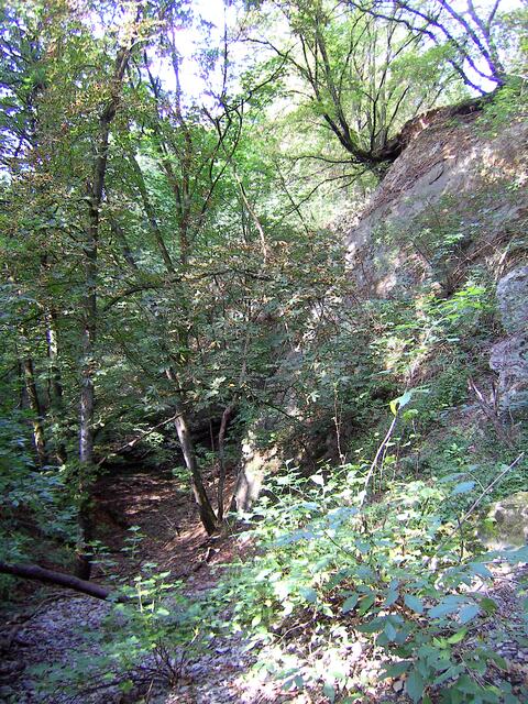 Üppige Vegetation an steilen Klippen
