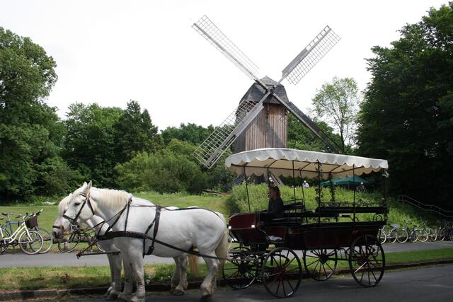 alte Mühle mit alter Pferdekutsche... nur die Fahrräder stören das Bild ;-)