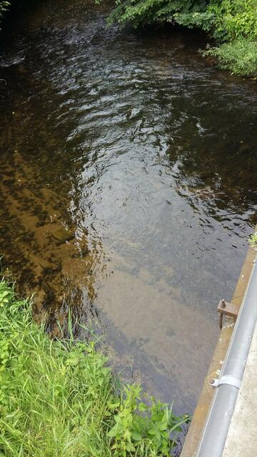 Foto 2: 12.06.2017 / 07:30 Uhr, das Wasser ist wieder in Bewegung und fließt in seinem natürlichen Bachbett.
