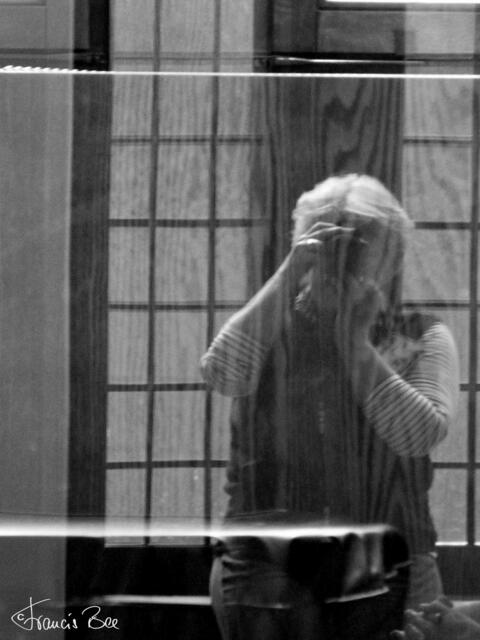 Spiegelung einer Bee