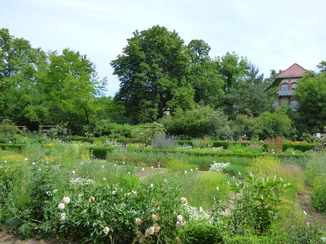 Blick auf den Bauerngarten