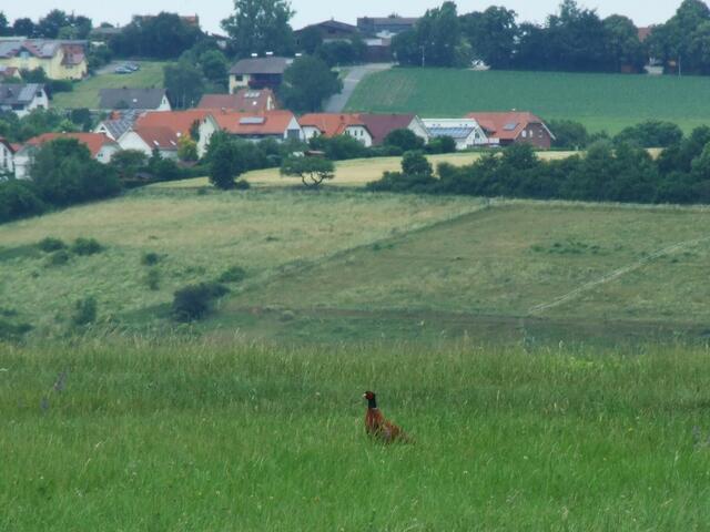 Von hier hat er einen guten Ausblick