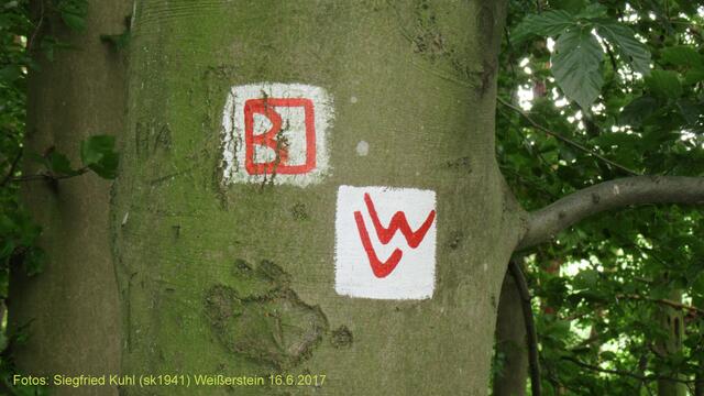 Wegweiser von Wanderwegen, z.B. links "Burgwaldpfad" und "Weißenstein"