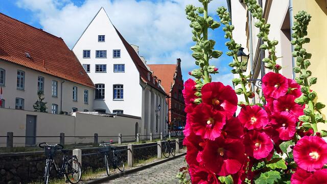 Die Grube (hier der Abschnitt „Mühlengrube“) ist ein ehemaliger Bach, der als regulierter, künstlicher Wasserlauf durch die Stadt fließt. Foto: Helmut Kuzina
