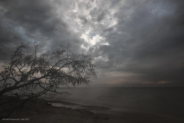 "Nebel" am Weststrand