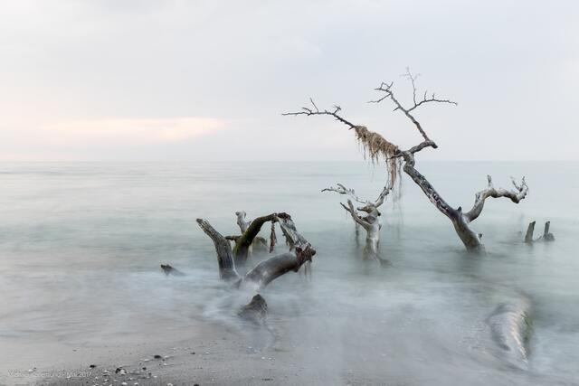 Weststrand - Darß als Langzeitwischer