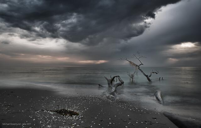 Weststrand - Darß in Low Key