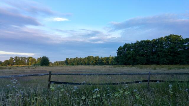 Die ersten kräftigeren Sonnenstrahlen fangen sich in den Baumwipfeln links im Hintergrund und geben gemeinsam mit dem Himmelsblau diesem Morgen einen fröhlich leichten "Anstrich".