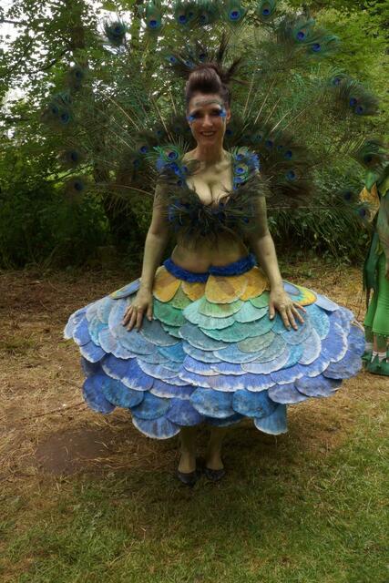 ein prächtiger Pfau