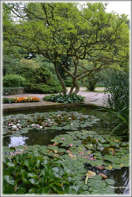 Stadtpark Hannover - Wassergarten (Foto: Katja Woidtke)