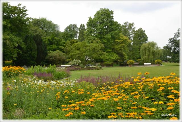 Stadtpark Hannover - sommerliche Staudenbeete (Foto: Katja Woidtke)