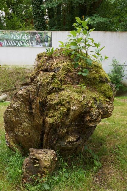 Fest der Naturgeister auf Schloss Pichl