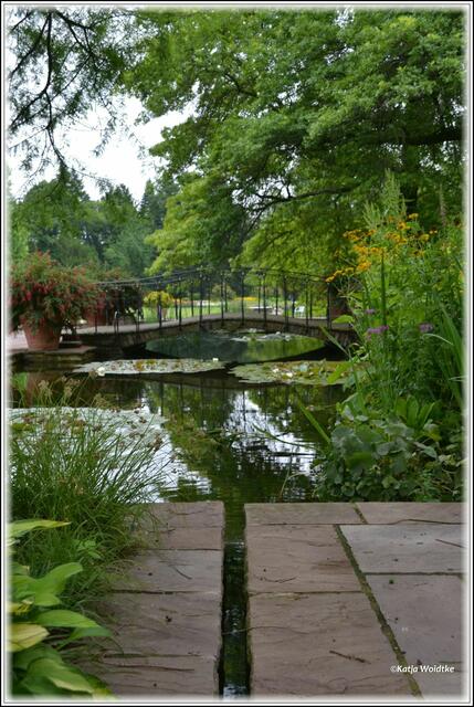 Stadtpark Hannover - Idylle im Wassergarten (Foto: Katja Woidtke)