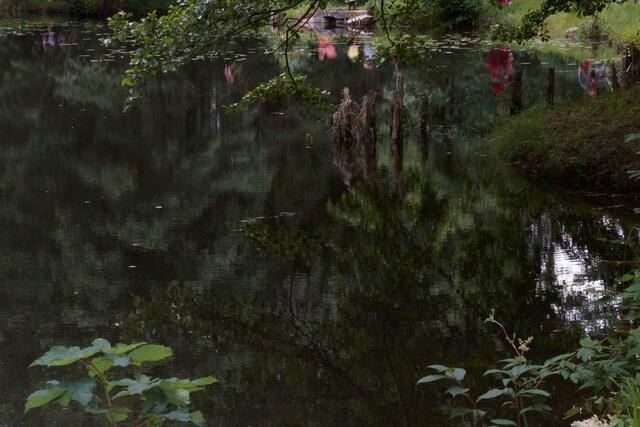 mystische Kulisse um Schloss Pichl ....