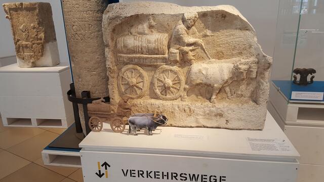 Ochsenkarren mit Weinfuhrmann