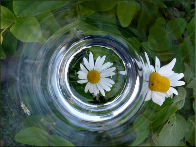 Durch ein Glas