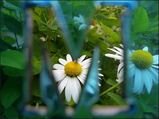 Durch eine Schablone