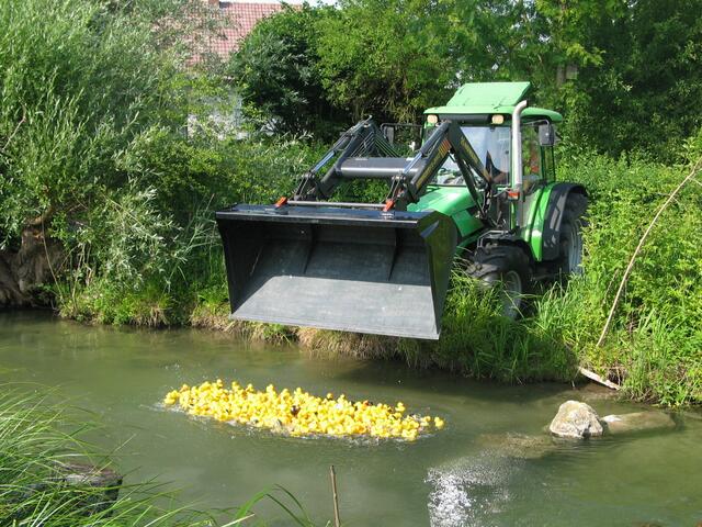 Die Entchen werden in den Mühlbach gekippt.
