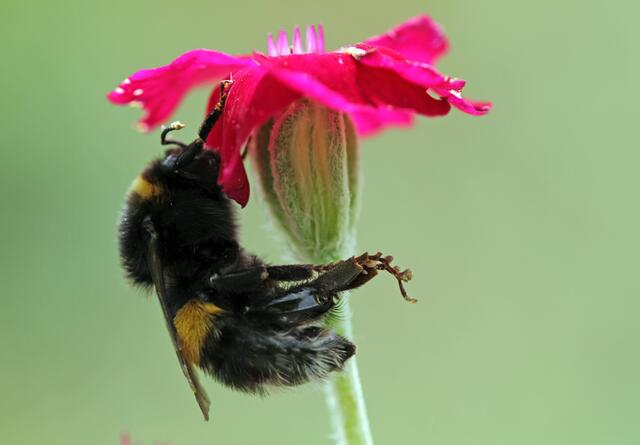 da muss noch etwas versteckt sein