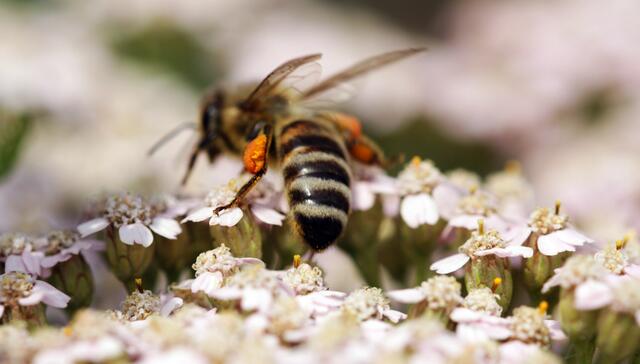 --- und nun: auf zum nächsten Donnerstag