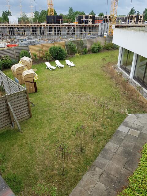 im Grundstücksgarten die Ruhewiese vom Hotel- Pool ! Früher gab es hier keine Einzäunung war offen zu Strand und zur Travemündung !
