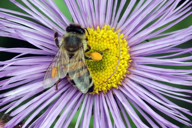 noch ein kleines Häppchen schlürfen