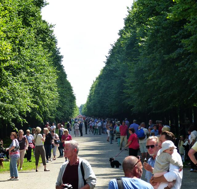 Warten an der Allee auf die Kutsche.