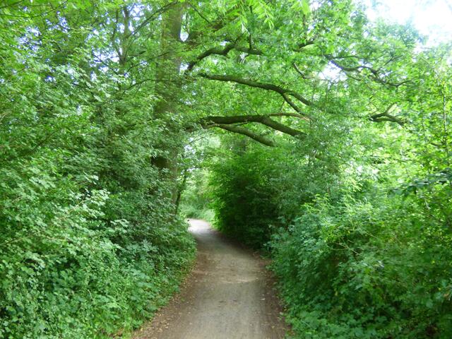 Herrliche Wege
