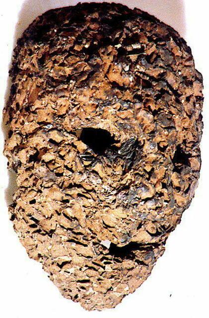 Nepal, erdbienennest