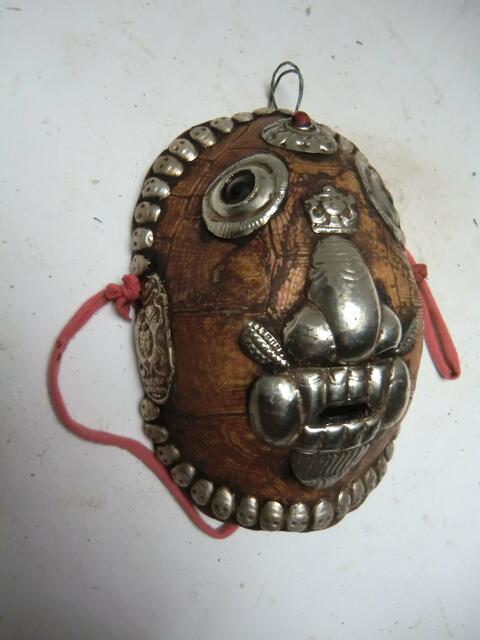 Nepal schildkrötenpanzer