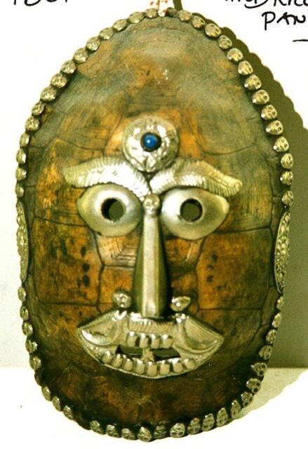 Nepal, Schildkrötenpanzer