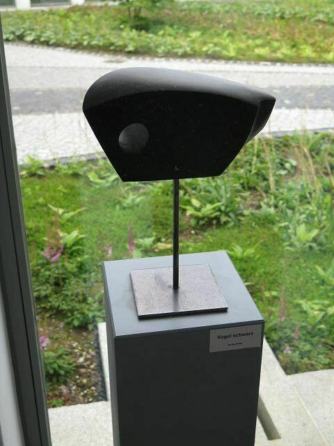 Schwarzer Vogel