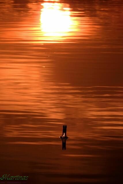 Wasser-Flasche