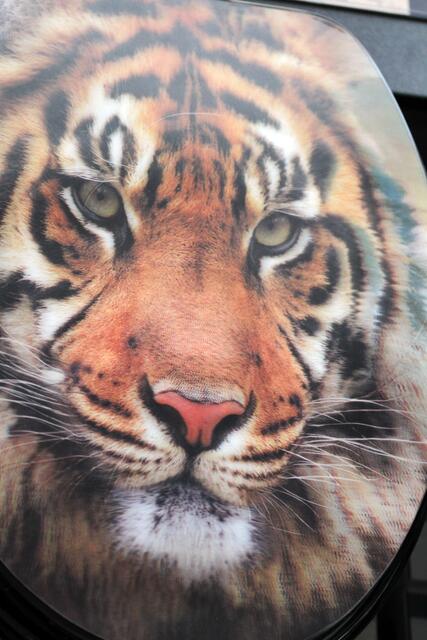Begegnung mit dem Tiger