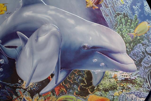 schau an: Flipper