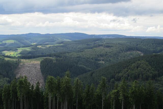 Aussicht Richtung Astenturm und Winterberg.