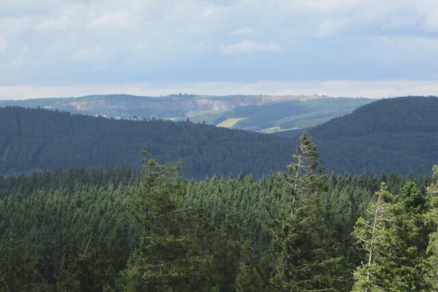 Aussicht zum Naturschutzgebiet Kahle Pön bei Usseln.