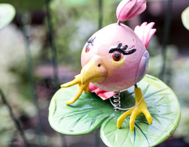 Komischer Vogel