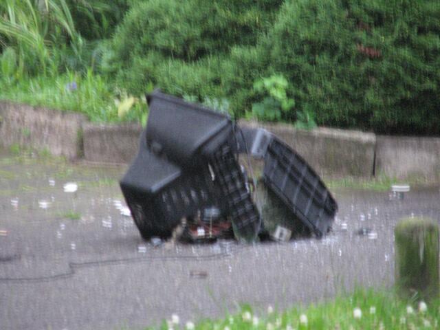 oder wollte lieber einen LED TV?