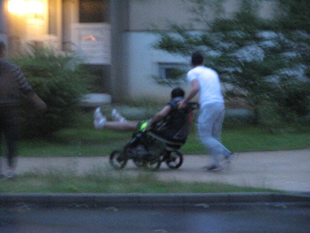 Unsere Neubürger finden es lustig, vermisst jemand eine Kinderkarre?