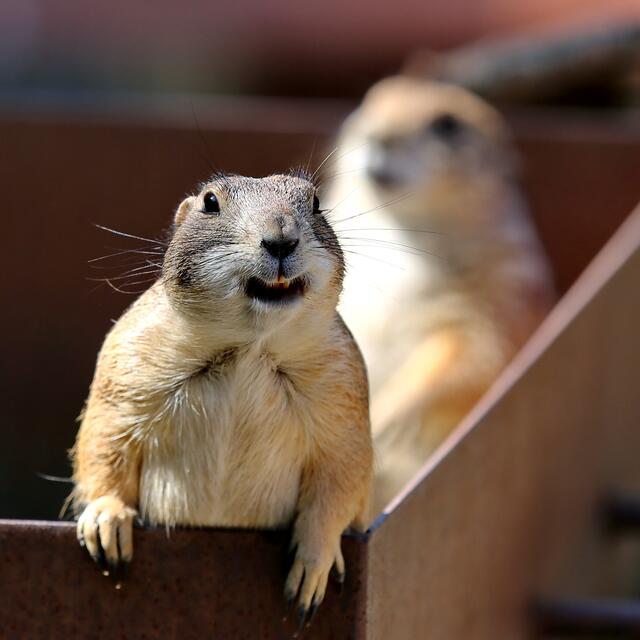 "War doch prima, oder?"