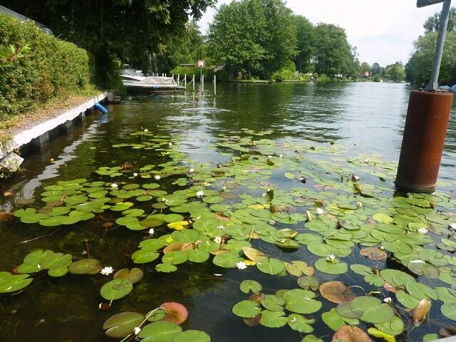 An der Müggelspree