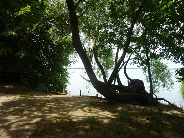 Am Müggelsee