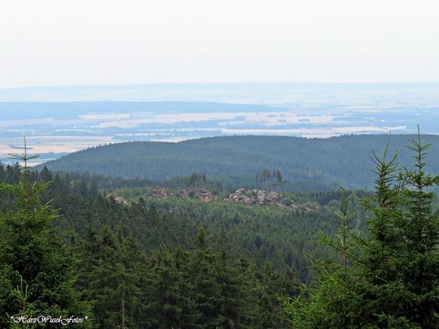 Blick zu den Hohnsteinklippen