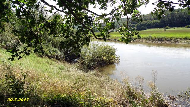 Leichtes Hochwasser im Unstruttal am 28.7.2017 - mit Panoramabilder !