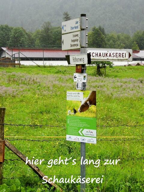 hier geht´s zur Schaukäserei